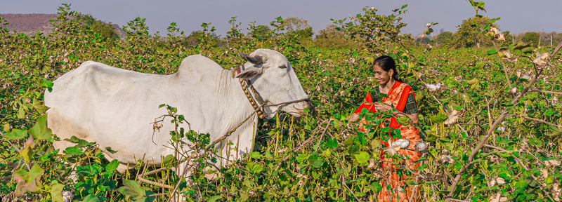 Celebrating Women in Agriculture