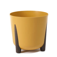 Mustard Plant Pot With Legs