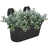 Black Hanging Planter