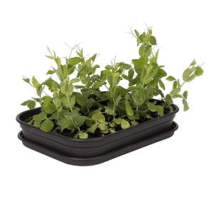 Reusable Seed Starter Grow Kit