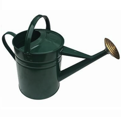 Green Galvanised Watering Can