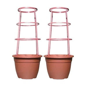 Set of 2 - 5.9 Litre Round Trellis Plant Pot