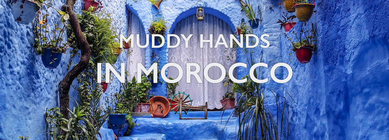Exploring the Vibrant Flora of Morocco