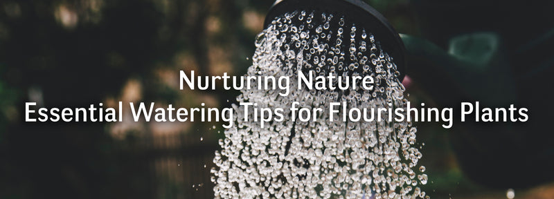 Nurturing Nature: Essential Watering Tips for Flourishing Plants