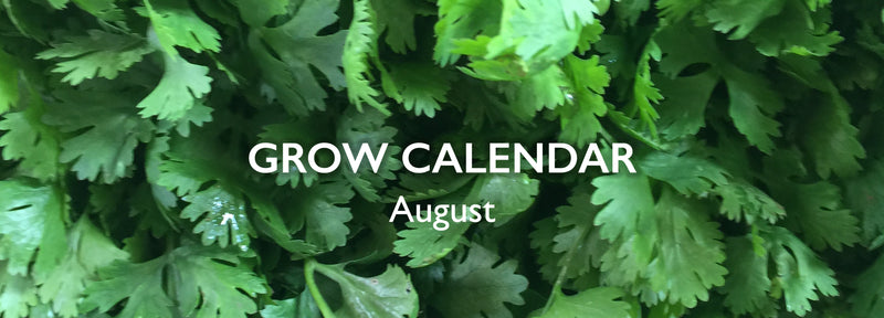 August's Green Symphony: A Guide to Garden Growth