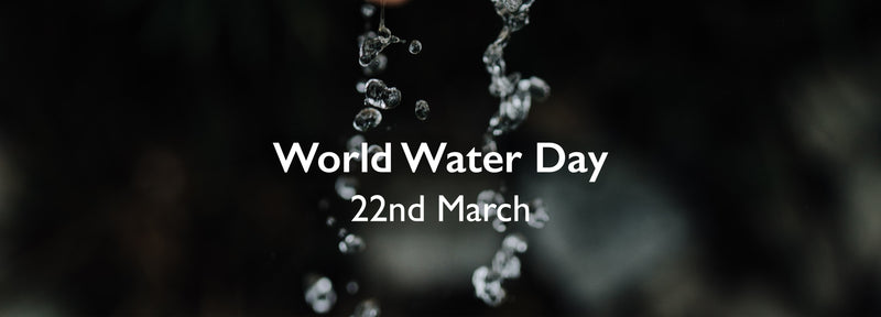 The Power of Water: Why We Should Value It on World Water Day