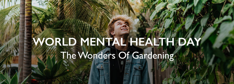 Cultivating Wellness on World Mental Health Day