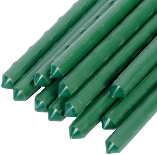 Stakes