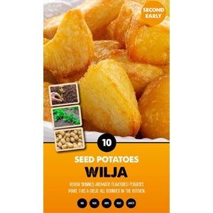 10 Pack of Wilja Seed Potato Second Early