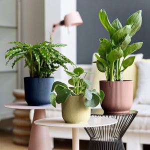 Pink Eco Ribbed Plant Pot