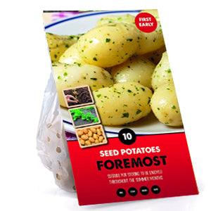 10 Pack of Foremost Seed Potato First Early