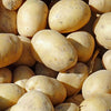 10 Pack of Foremost Seed Potato First Early