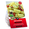 10 Pack of Rocket Seed Potato First Early