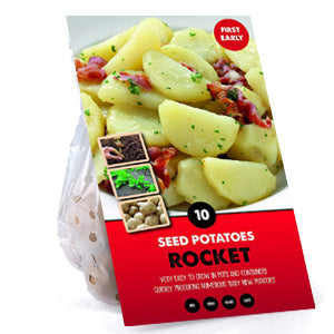 10 Pack of Rocket Seed Potato First Early