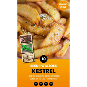 10 Pack of Kestrel Seed Potato Second Early