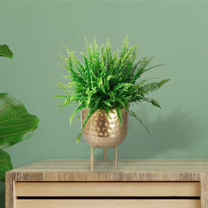 Small Metal Indoor Plant Pot Stand