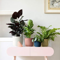 Pink Eco Ribbed Plant Pot