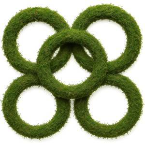 Pack of 5 Padded Moss Wreath Rings - Natural Green Bases for Crafting (10" 25cm)