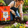 Clover John Innes Multi Purpose Compost 60 Litre Peat Enriched Potting Soil