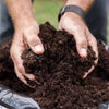 Clover Multi Purpose Compost Bag Garden Plant Potting Growing Soil