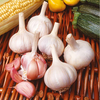 Flavor Garlic Bulbs