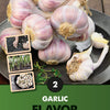 Flavor Garlic Bulbs