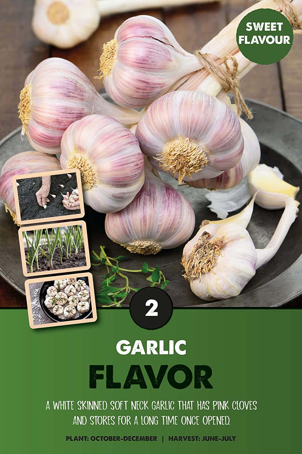 Flavor Garlic Bulbs