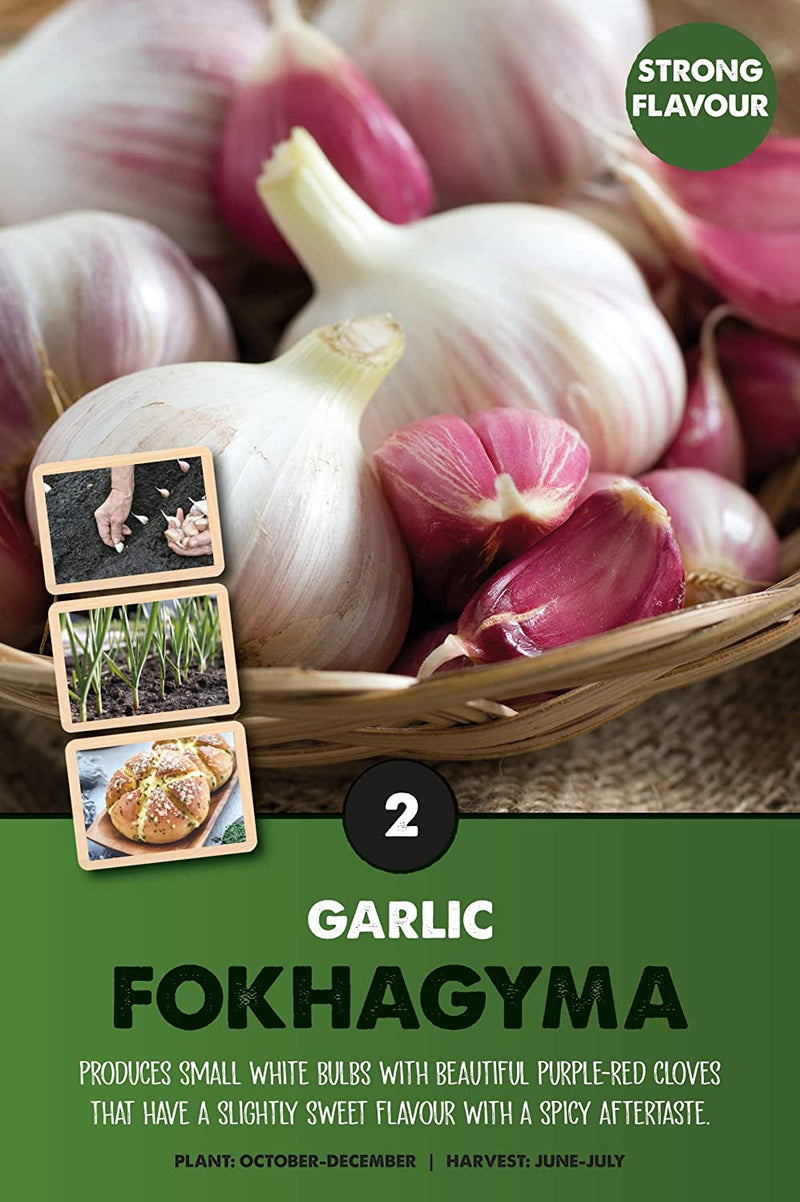 Fokhagyma Garlic Bulbs