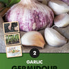 Germidour Garlic Bulbs