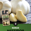 Messidor Garlic Bulbs