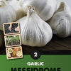 Messidrome Garlic Bulbs