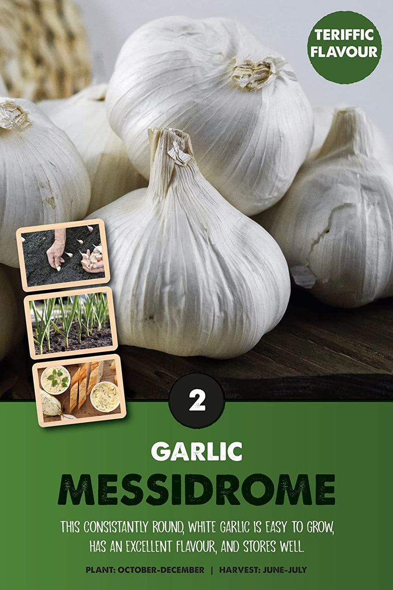 Messidrome Garlic Bulbs