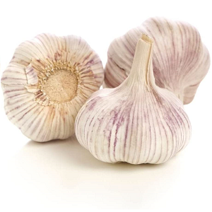 Thermidrome Garlic Bulbs