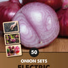 Electric Onion Sets