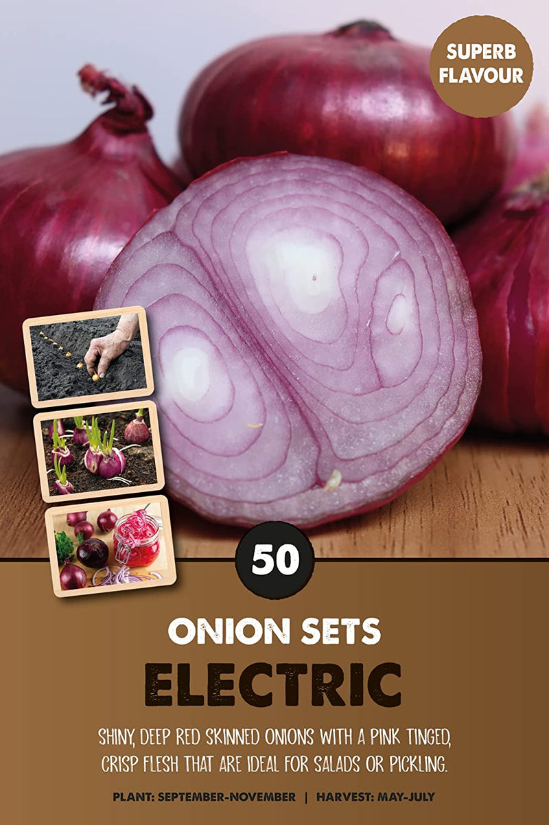 Electric Onion Sets