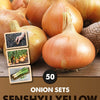 Senshyu Yellow Onion Sets