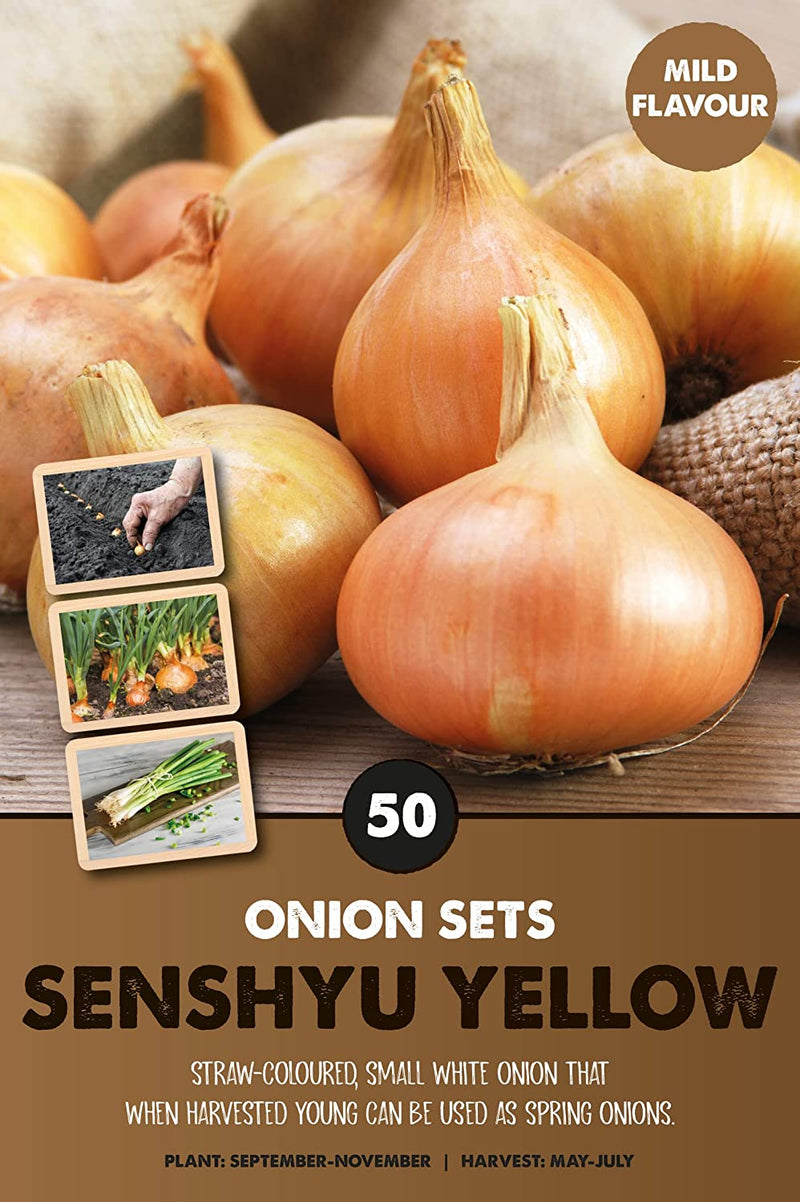 Senshyu Yellow Onion Sets