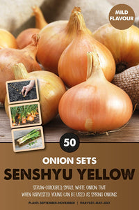 Senshyu Yellow Onion Sets