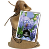 Bee Friendly Mixed Flower Bulbs