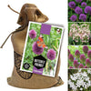 Butterfly Friendly Mixed Flower Bulbs