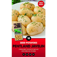 10 Pack of Pentland Javelin Seed Potato First Early