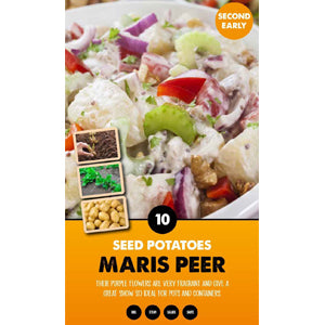10 Pack of Maris Peer Seed Potato Second Early