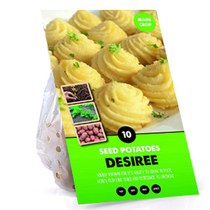 10 Pack of Desiree Seed Potato Main Crop