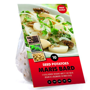 10 Pack of Maris Bard Seed Potato First Early