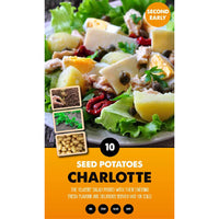 10 Pack of Charlotte Seed Potato Second Early
