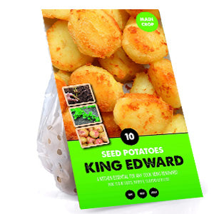 10 Pack of King Edward Seed Potato Main Crop