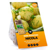 10 Pack of Nicola Seed Potato Second Early