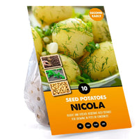 10 Pack of Nicola Seed Potato Second Early