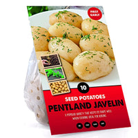10 Pack of Pentland Javelin Seed Potato First Early