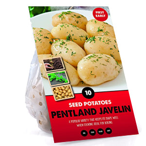 10 Pack of Pentland Javelin Seed Potato First Early